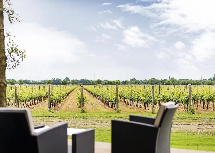 Tinwood Estate Vineyard Lodges Chichester, United Kingdom