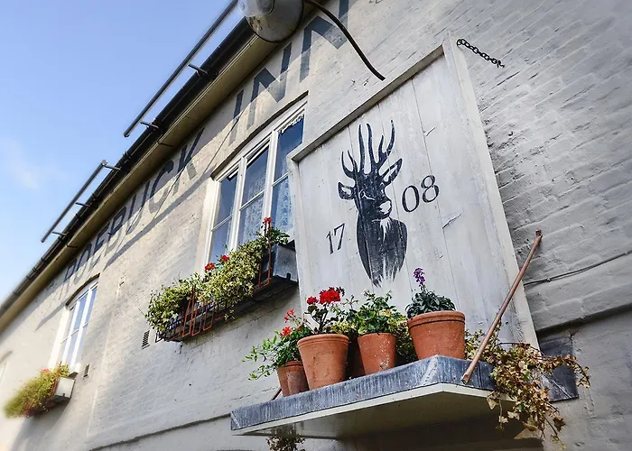 Roebuck