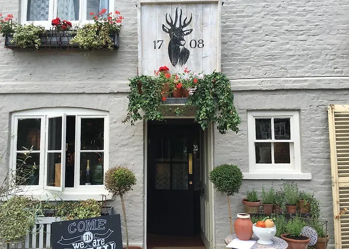 Roebuck
