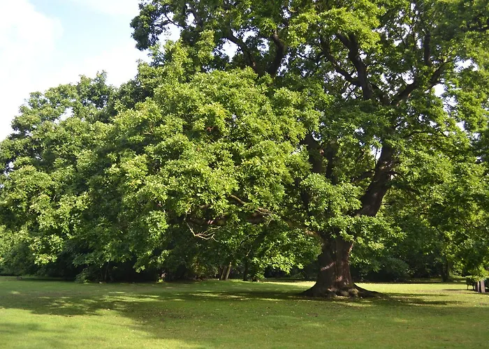 Gilwell Park Hotel Chingford, United Kingdom