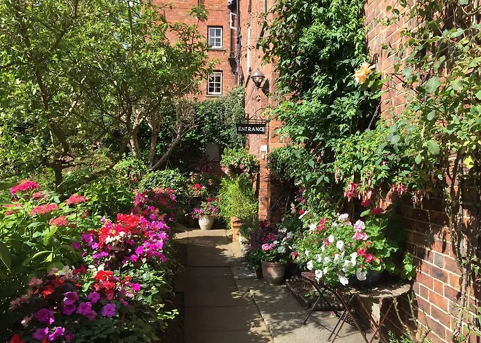 Garden - B&B
