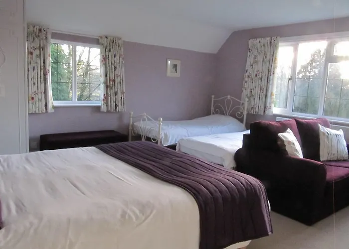 Little Forest Lodge