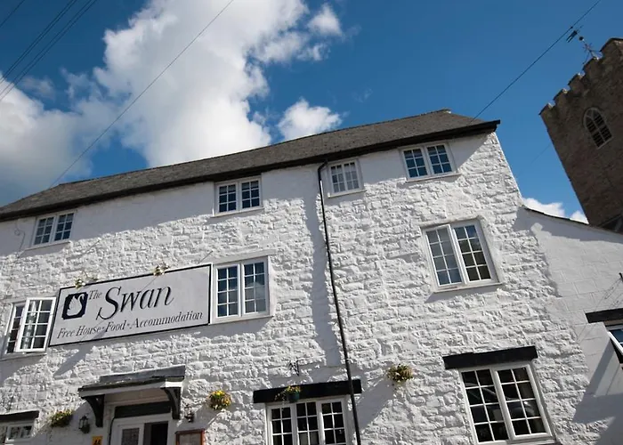 The Swan