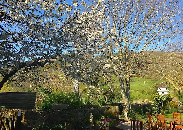 Exmoor Owl & Hawk Centre Bed & Breakfast Bossington, United Kingdom
