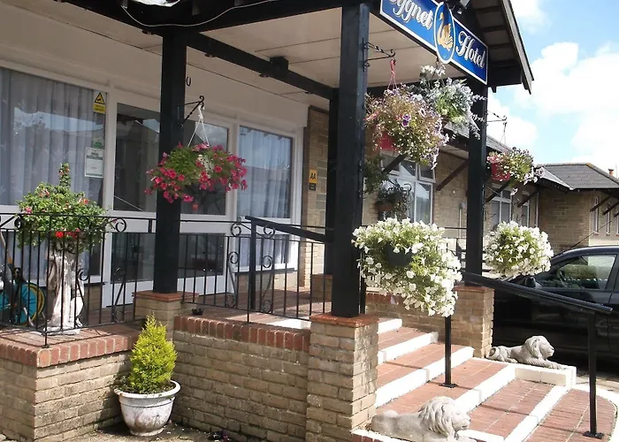 Cygnet Hotel