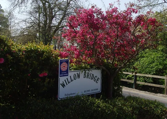 Willow Bridge
