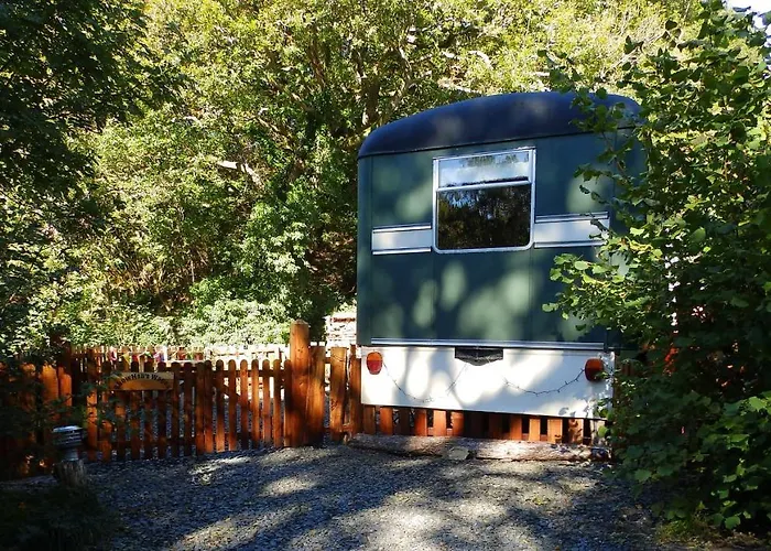 Showman'S Wagon At Coed Cae