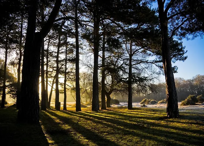 Waterloo Hotel Crowthorne, United Kingdom