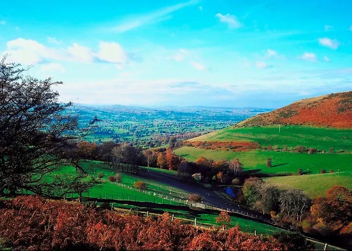 Brynafon