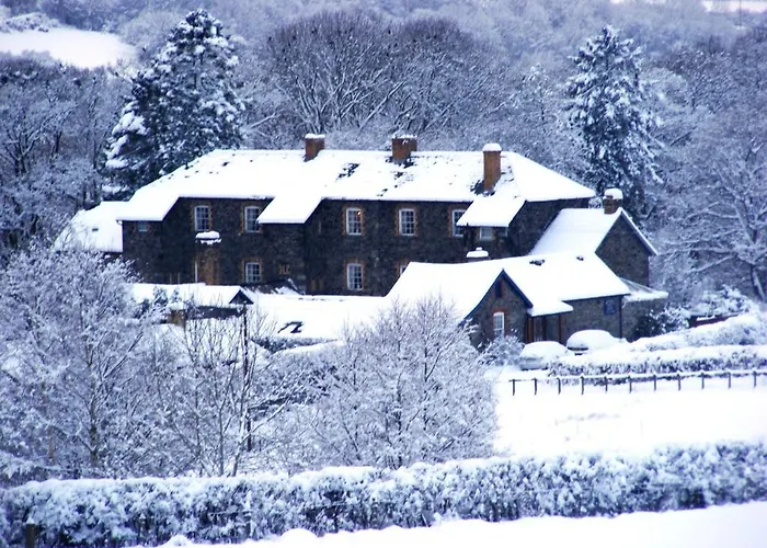 Brynafon