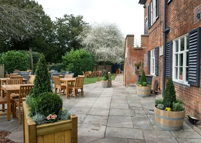 King'S Head By Innkeeper'S Collection