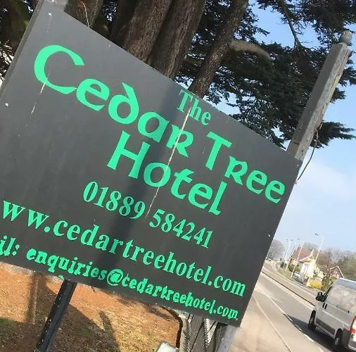 Cedar Tree