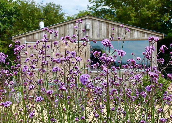The Oaks Glamping - Pips Cabin Colkirk, United Kingdom
