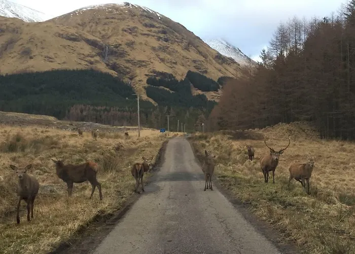 Park View Bed & Breakfast Ballachulish, United Kingdom