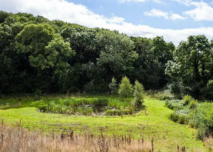 Blackthorn Gate Nunthorpe, United Kingdom