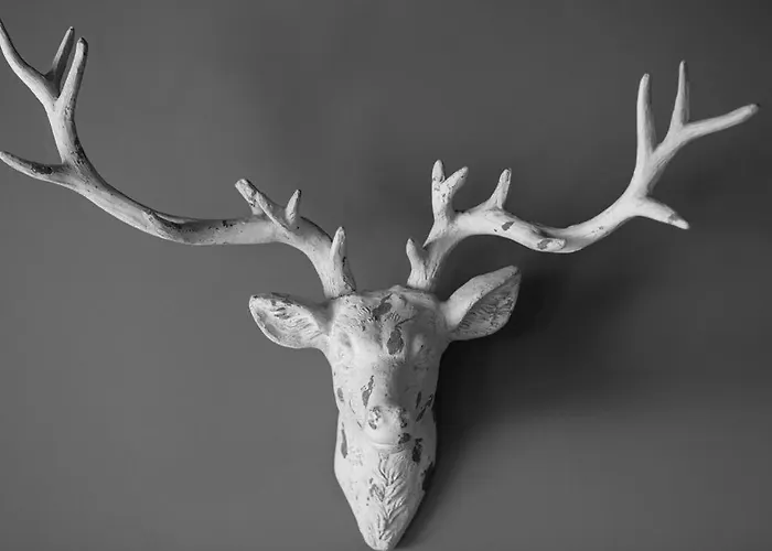 Roebuck