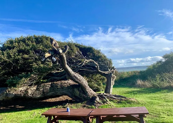 Shorefield Country Park, Where The New Forest Meets The Sea, Passes For All Entertainment Included Milford on Sea, United Kingdom