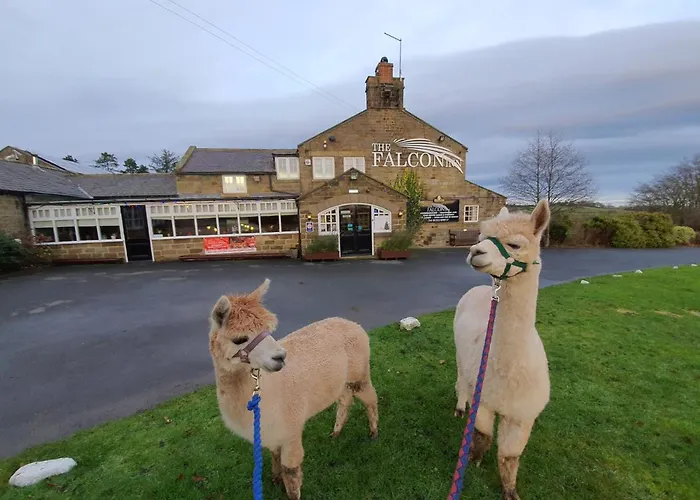The Falcon Inn