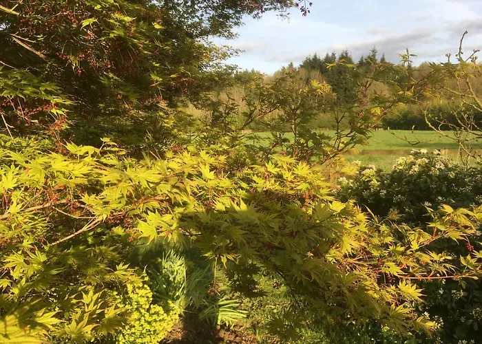 Woodlands Cottage Farm Wickham , United Kingdom