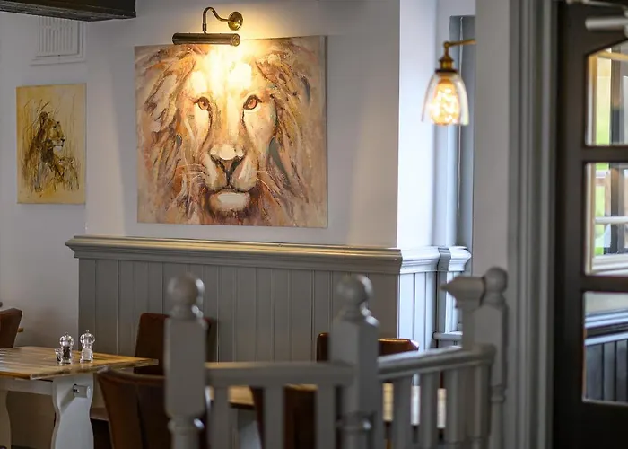 Lazy Lion
