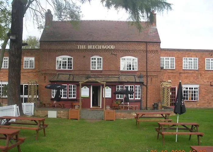 Oyo Beechwood